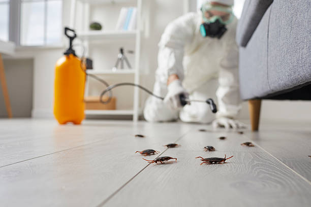 Trusted Fumigation Services service in Bal Harbour, FL - Nex Pest Control