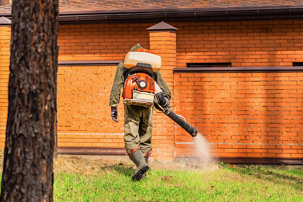 Trusted Termite Control service in Bal Harbour, FL - Nex Pest Control